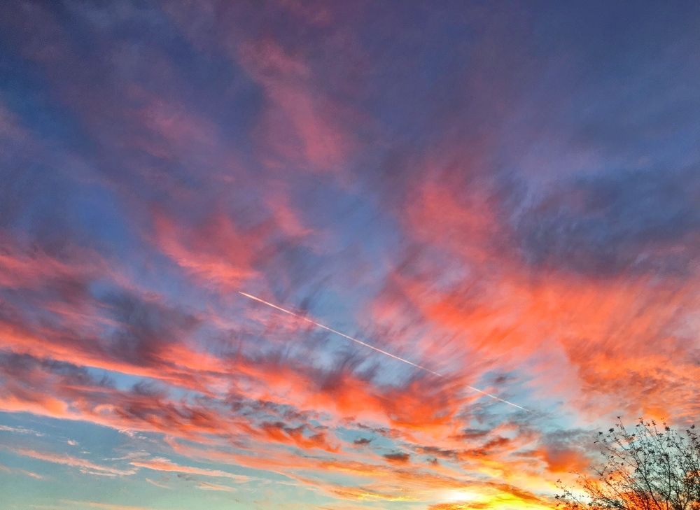 Photograph by Natasha Efanova