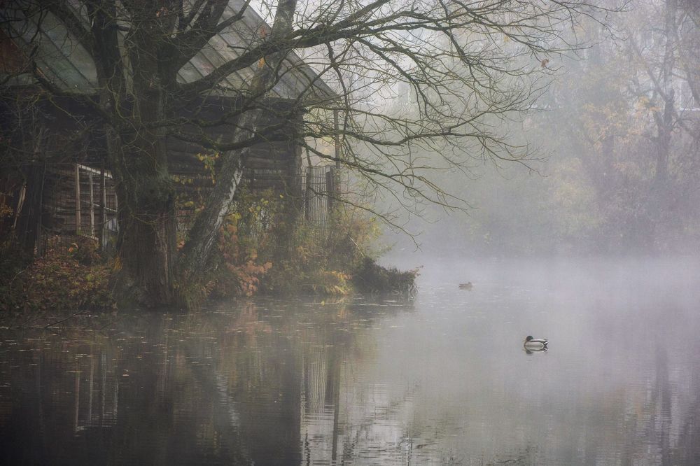 Photograph by Юлия Абрамова