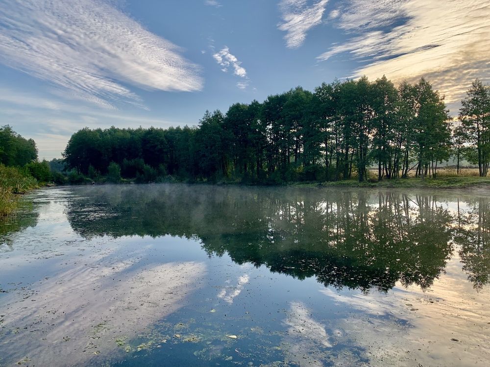 Photograph by Elena Lukashina