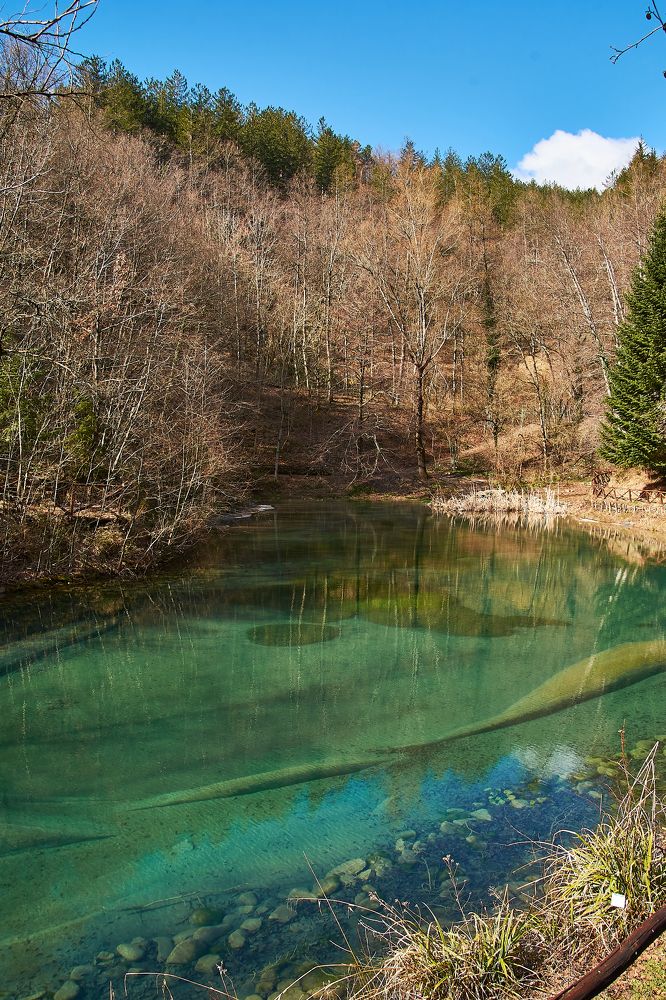 Photograph by Andrea Barlotti