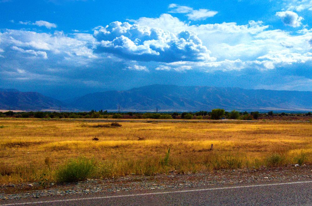 Photograph by Marina Weiland