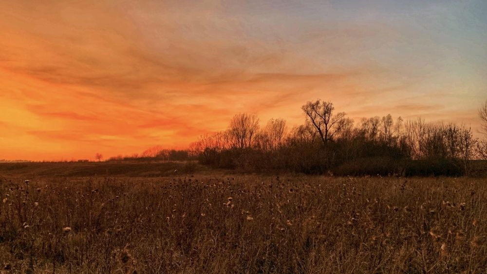 Photograph by Natasha Efanova