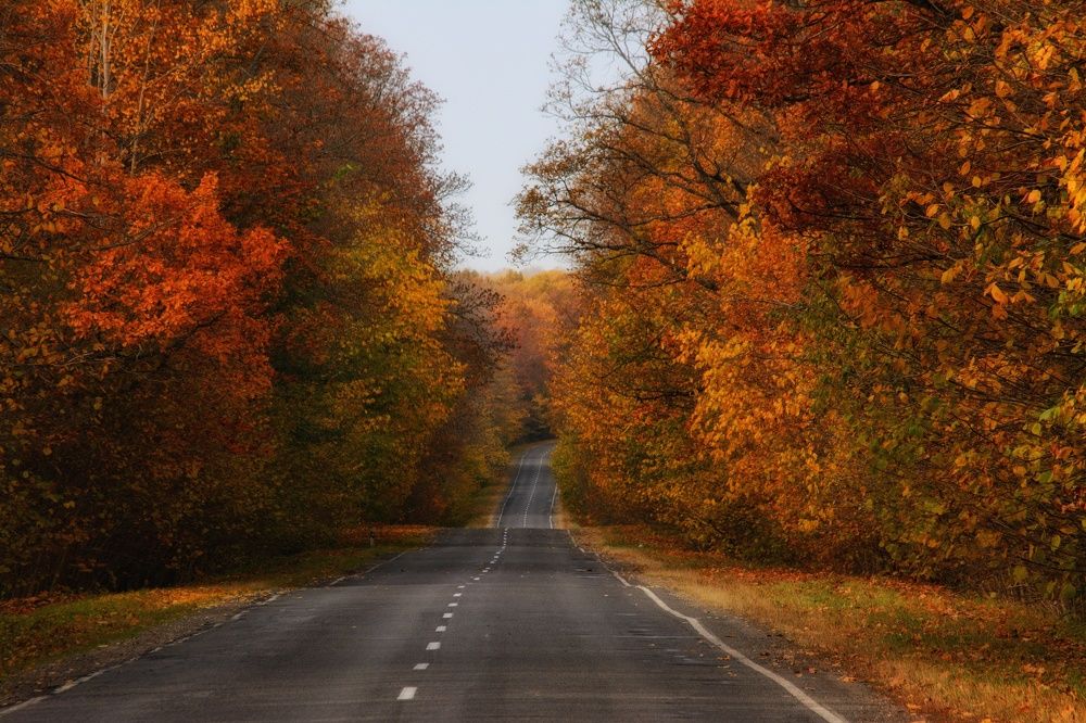 Photograph by Сергей Симаков