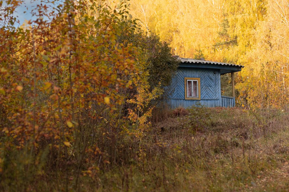 Photograph by Елена Высоких