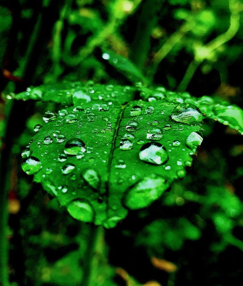 Photograph by Ева К