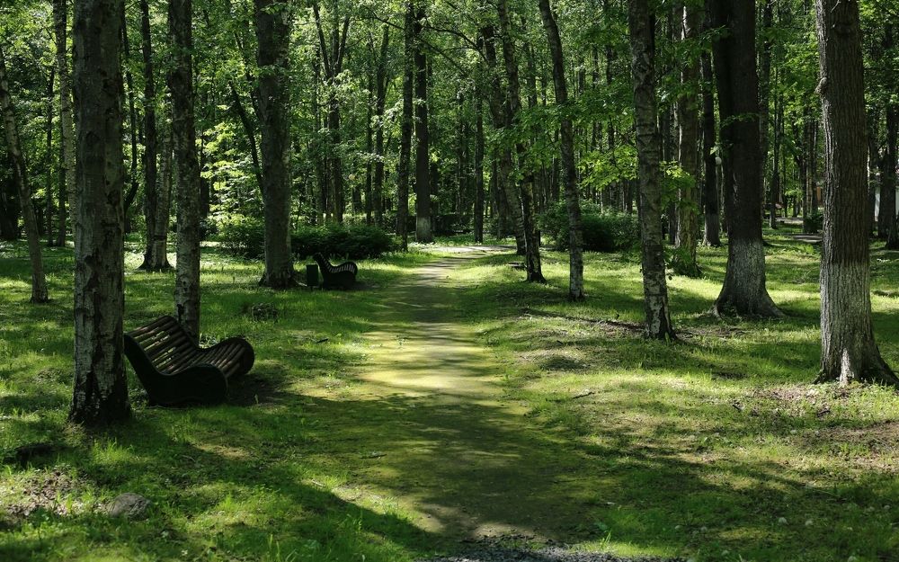 Тенистый парк.