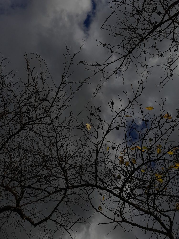 Photograph by Ульяна