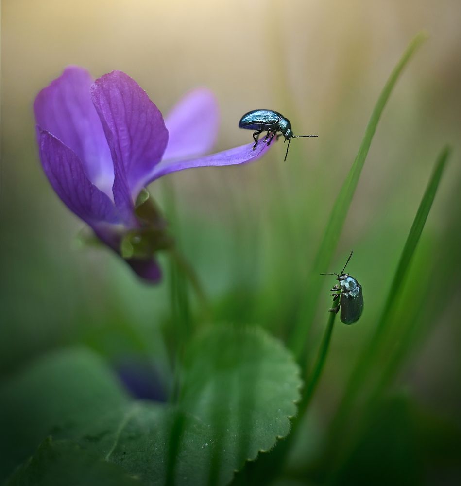 Ну где ты там?)