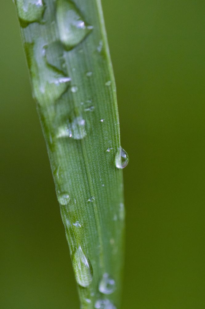 Photograph by Rahel Barenshtein