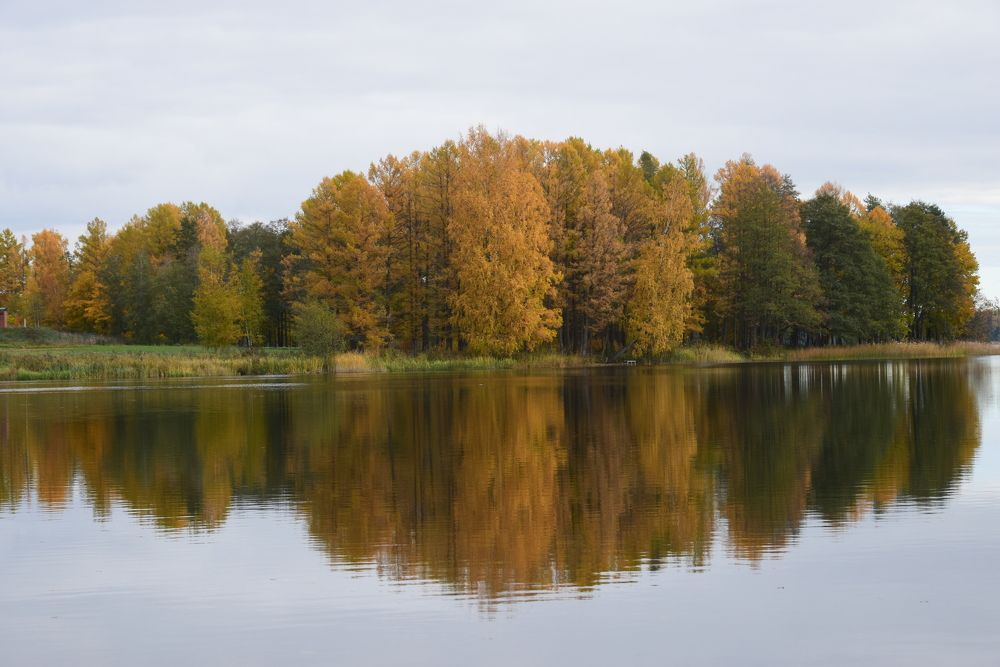 Photograph by Galina Leskova