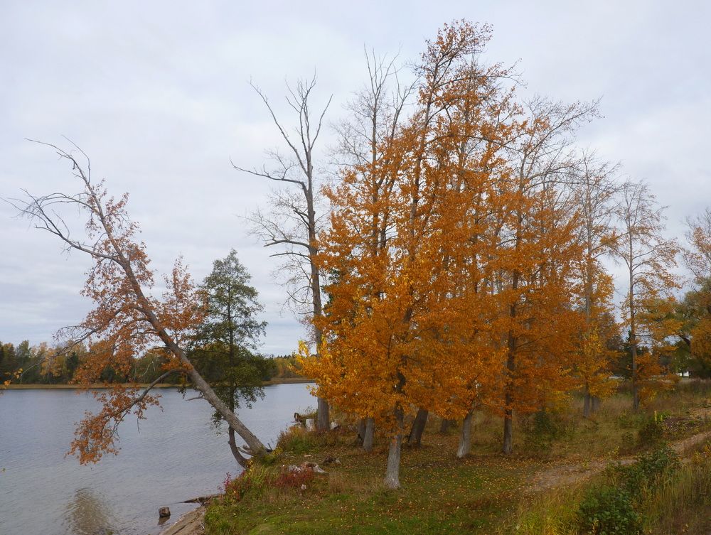 Photograph by Galina Leskova