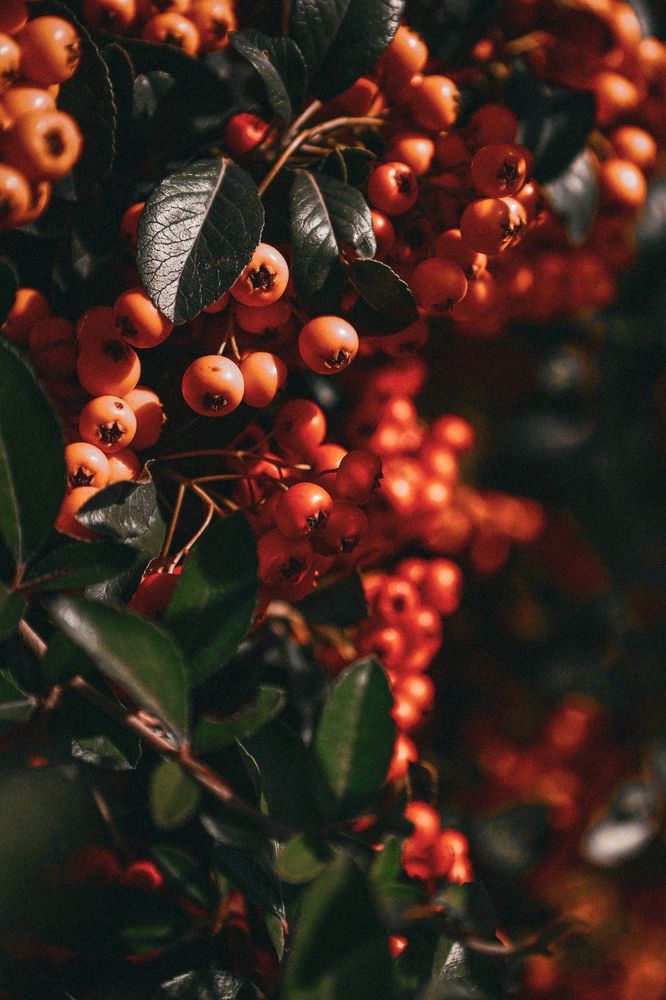 Photograph by Anna Mishina