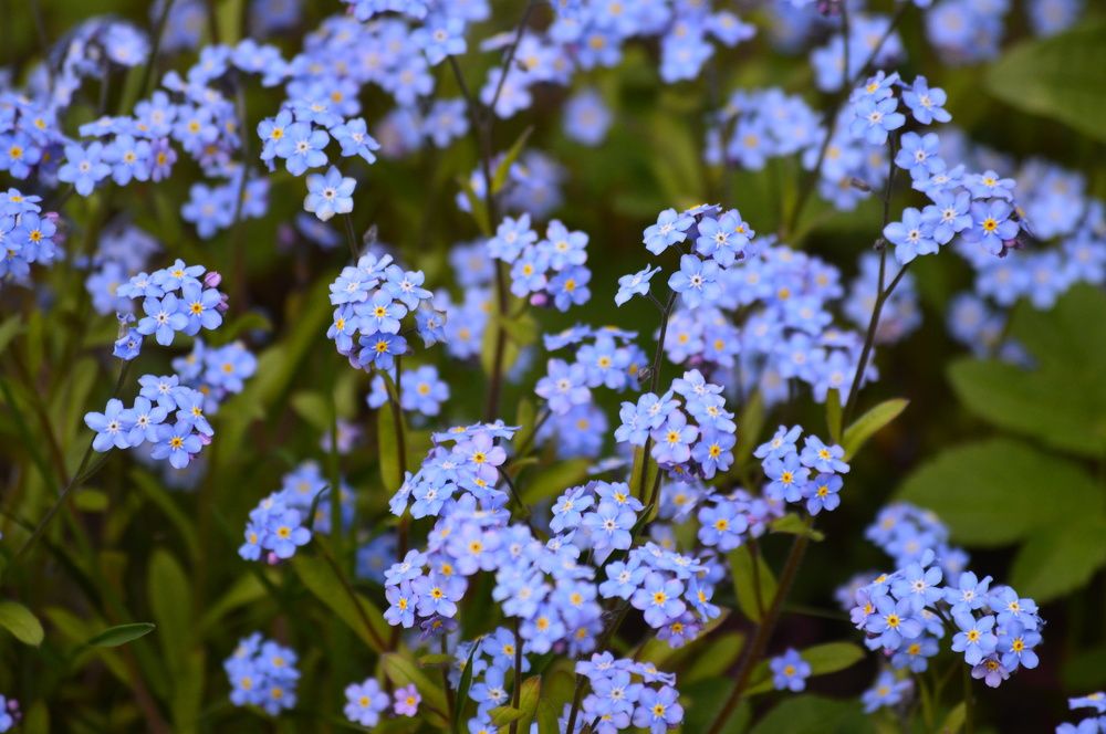 Photograph by Екатерина Казарцева