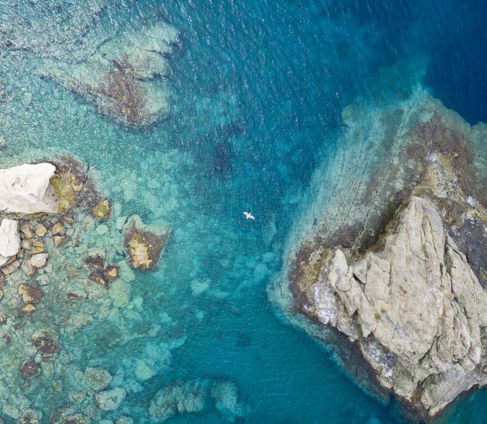 Photograph by Вадим Сташкевич