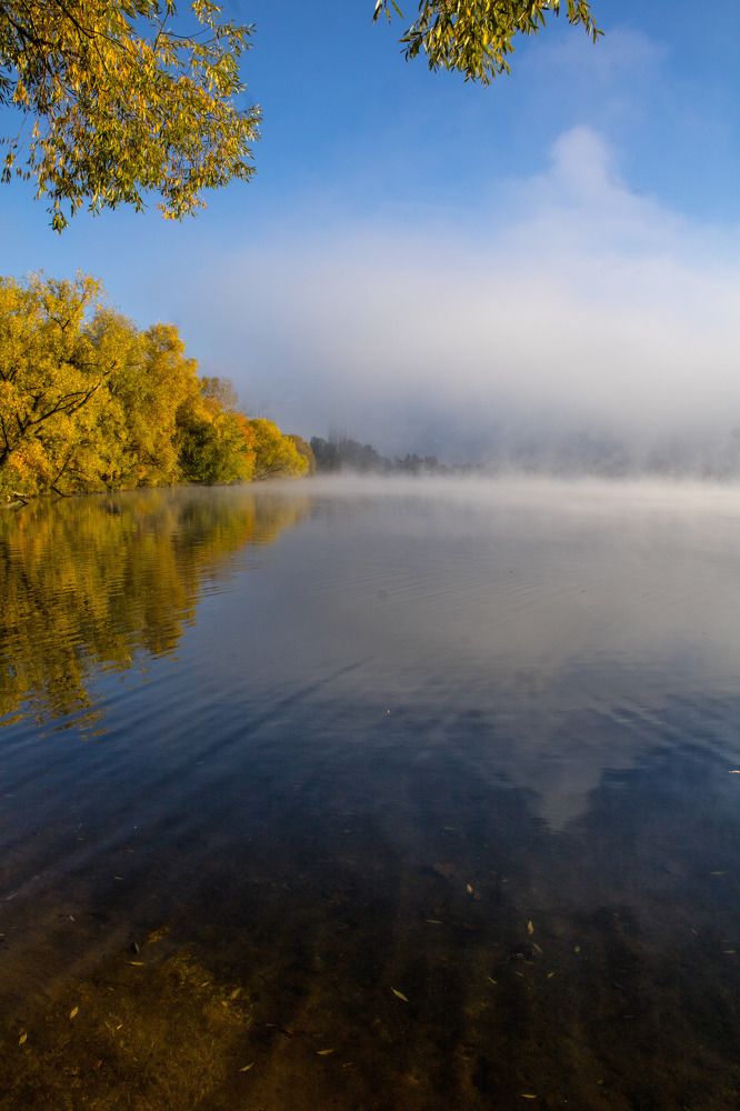 Фотография автора Татьяна Хуссейн