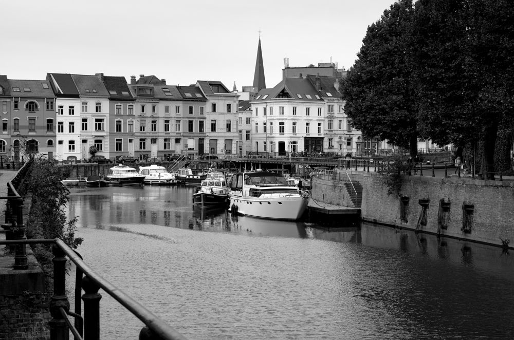 Фотография автора Андрей Неденко