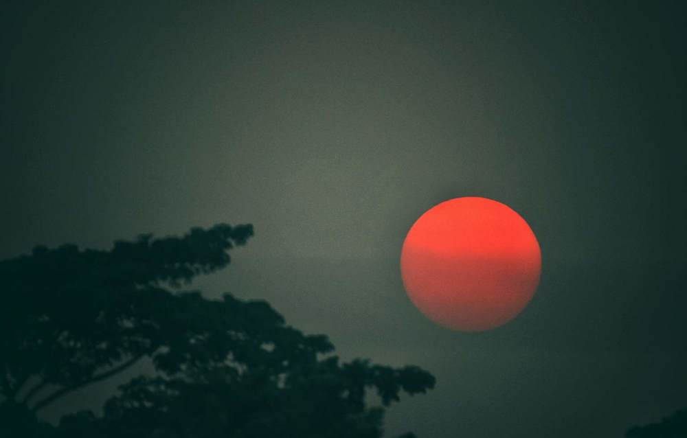 Photograph by dr.nadirujaman hemal Fakir