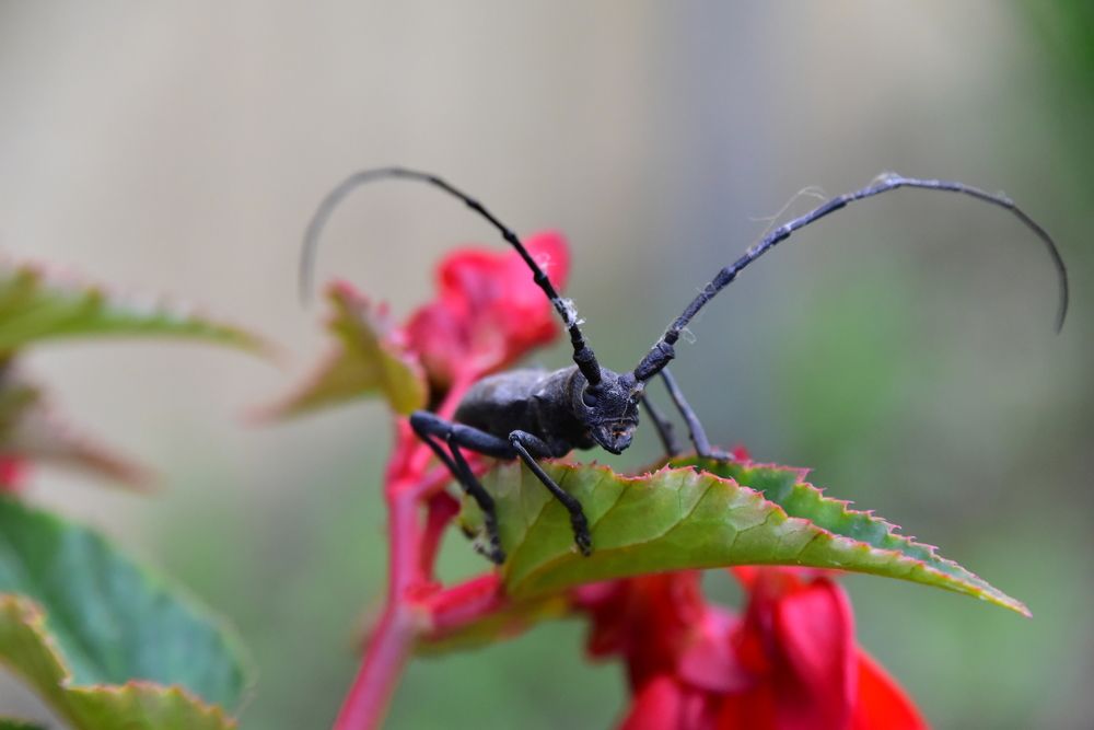 Photograph by Светлана Ивановна