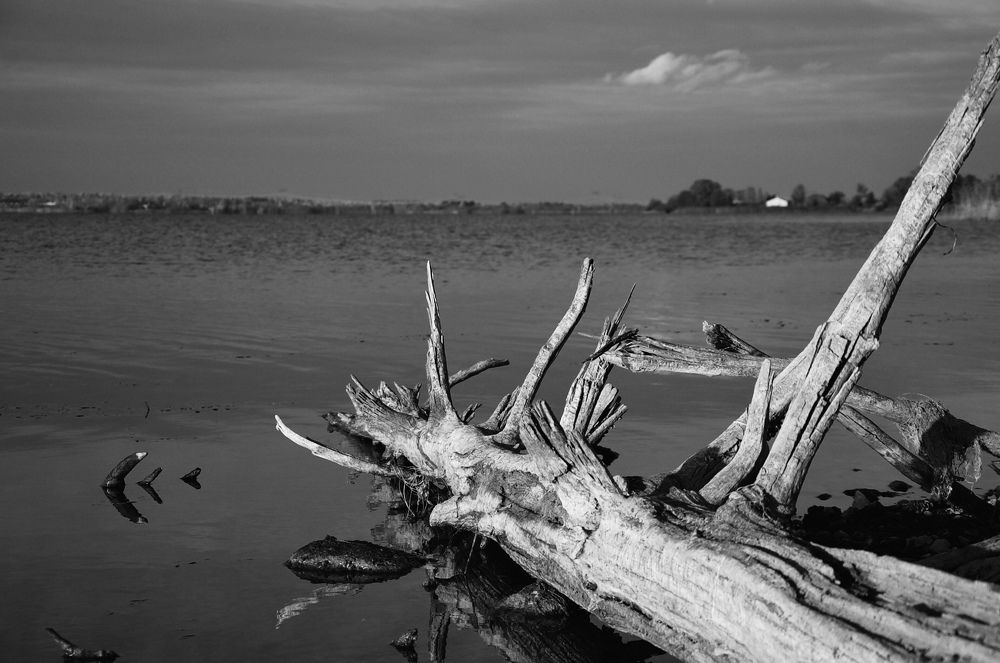 Photograph by Maxim Lanensky