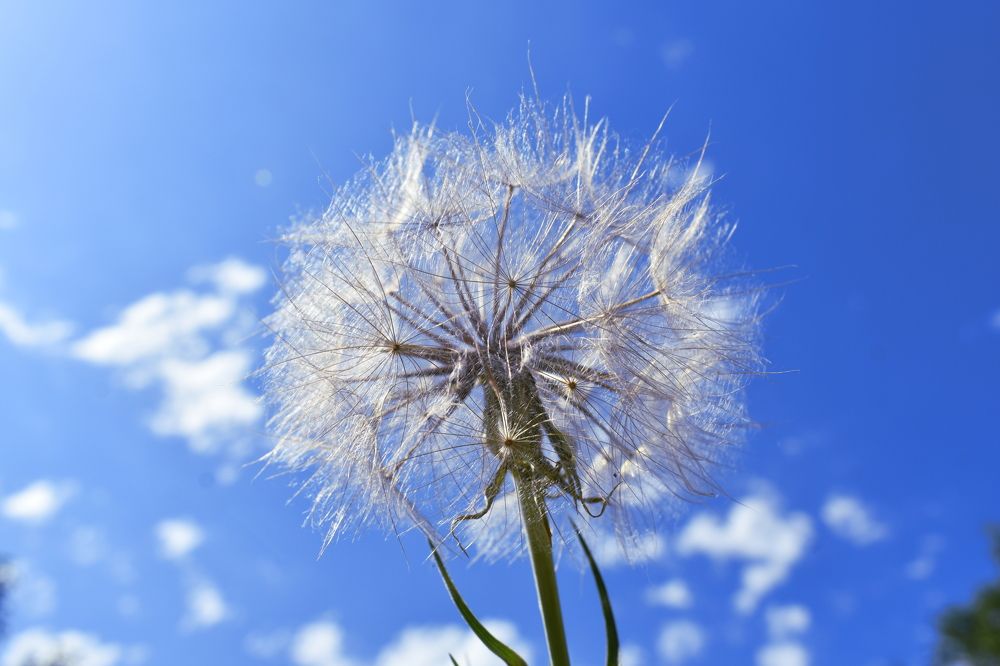 Photograph by Владимир Р