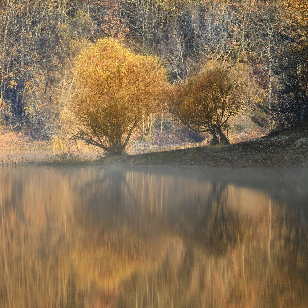 Photograph by Артем Колосов