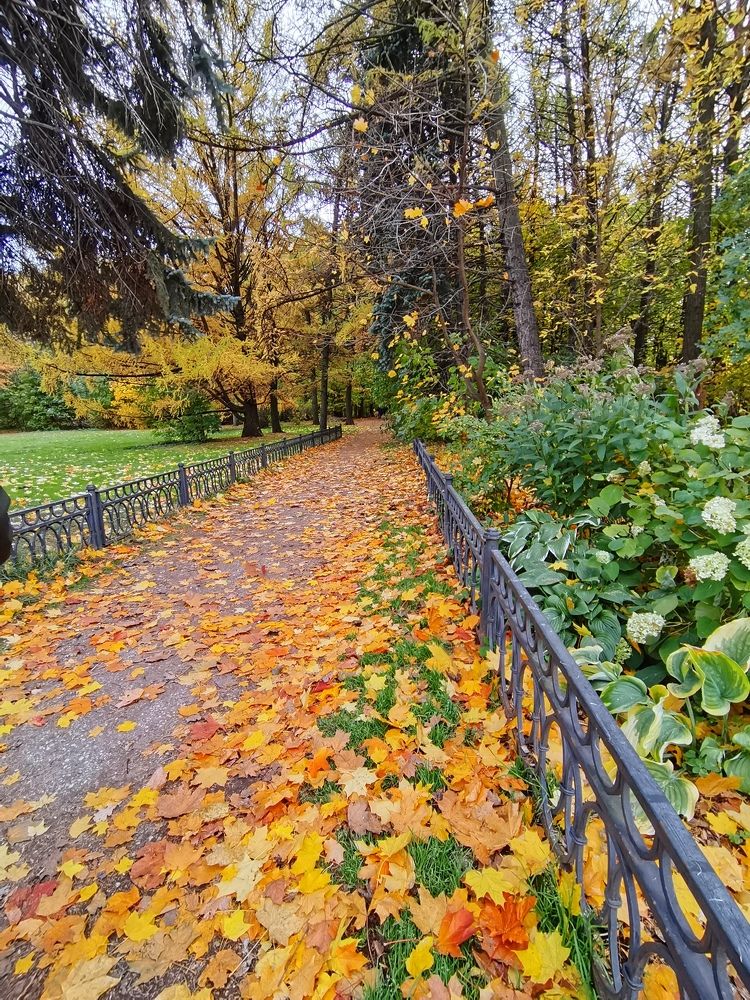 Photograph by людмила