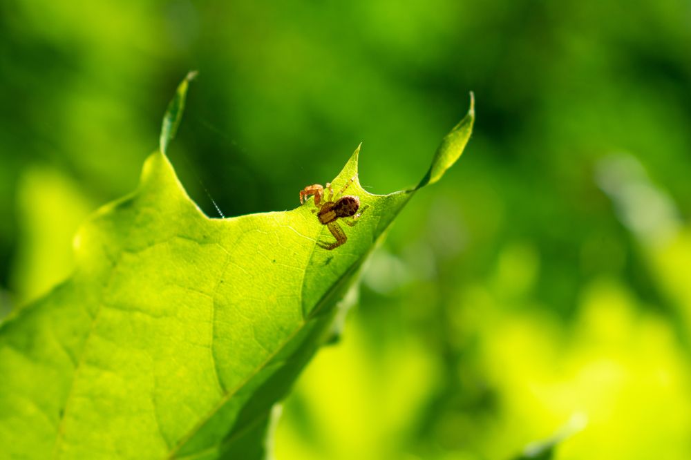 Photograph by Владимир Р