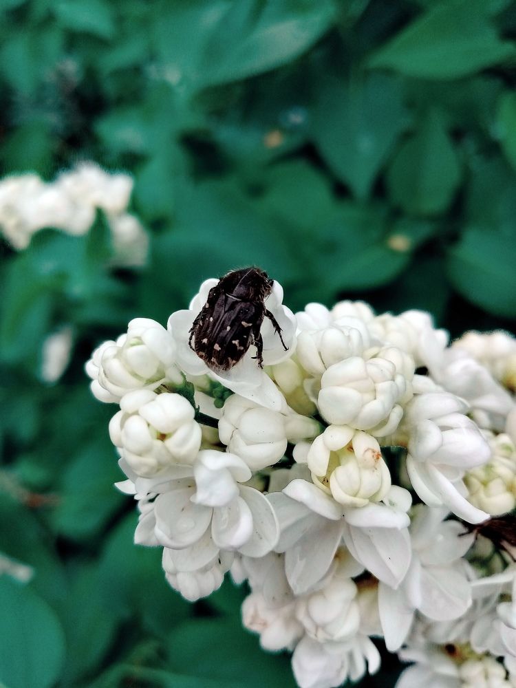 Photograph by Ekaterina