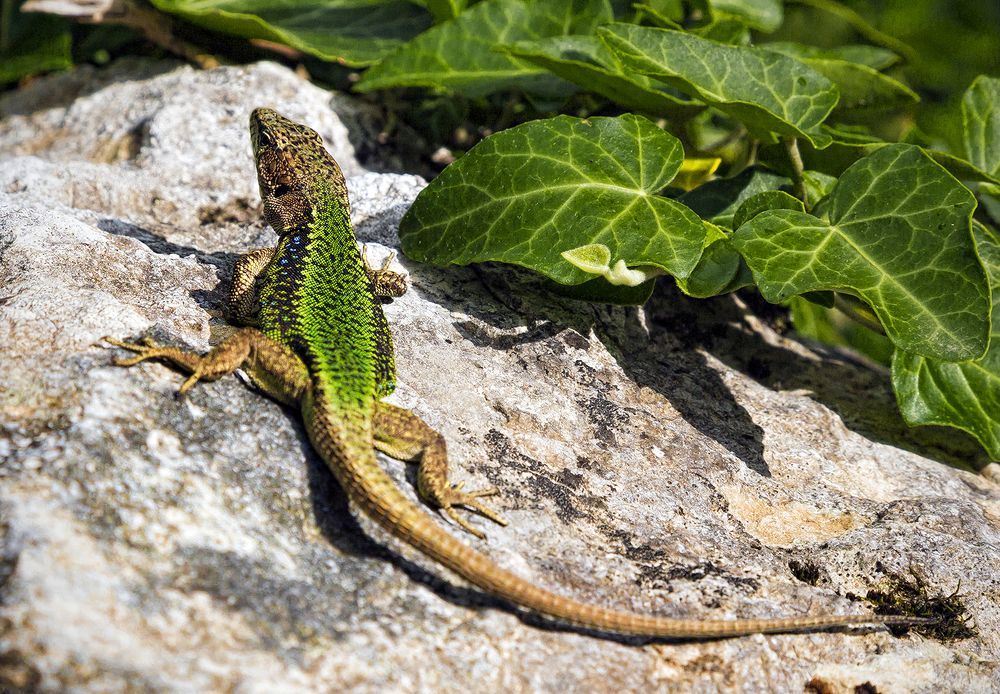 Photograph by Алексей Окунеев