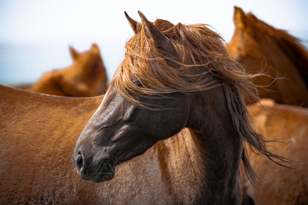 Photograph by Слащилина Нина