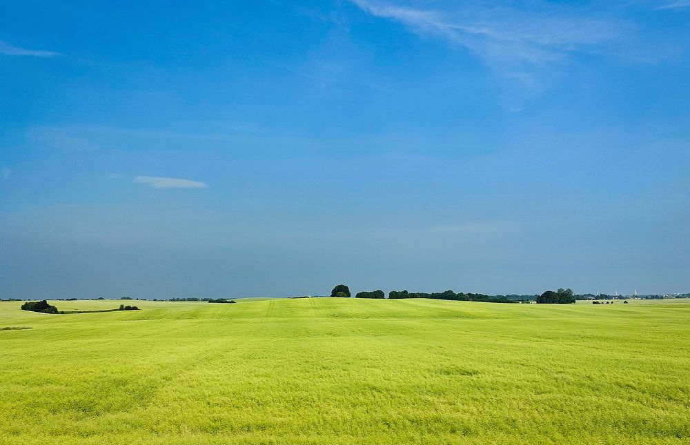 Photograph by Jelena Dzene