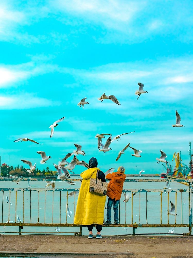 Photograph by Mohammad Mazareiy