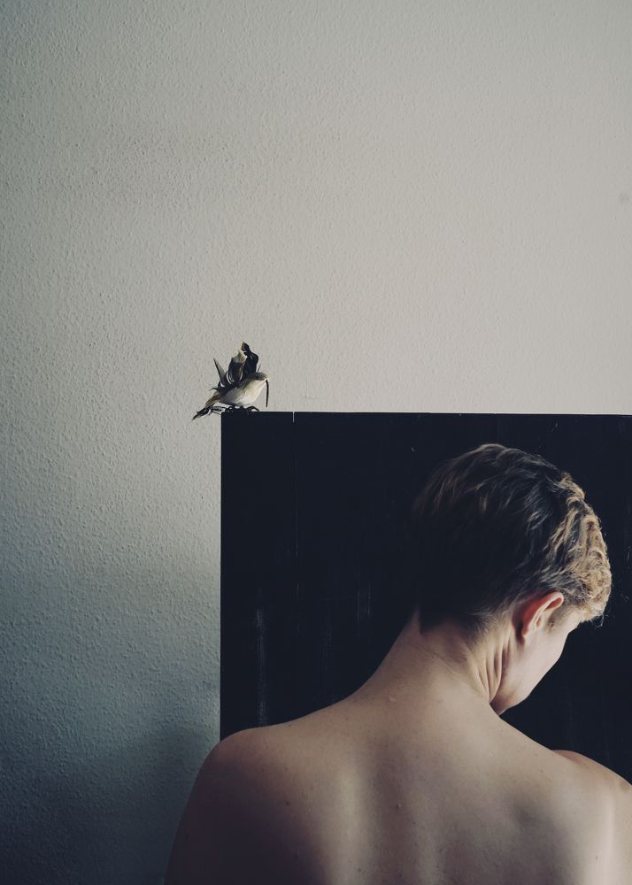 Photograph by Irina Tischer