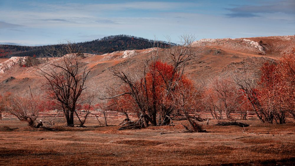 Photograph by Roman Bevzenko