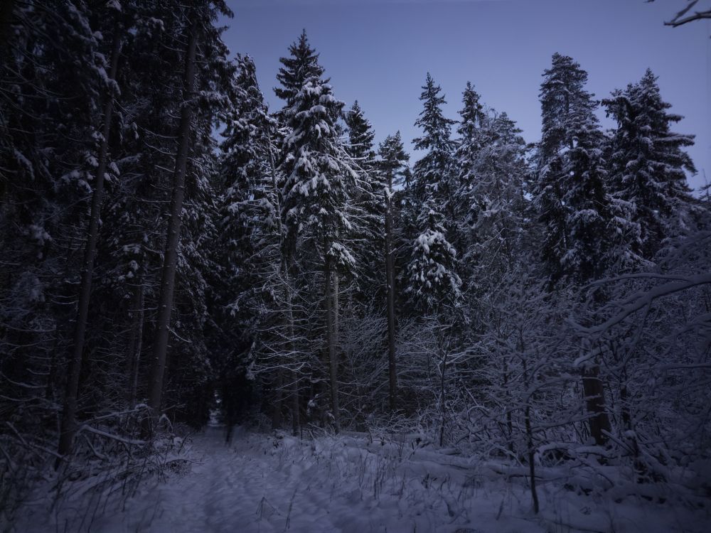 Photograph by Игорь