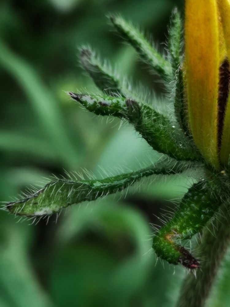 Photograph by Natali