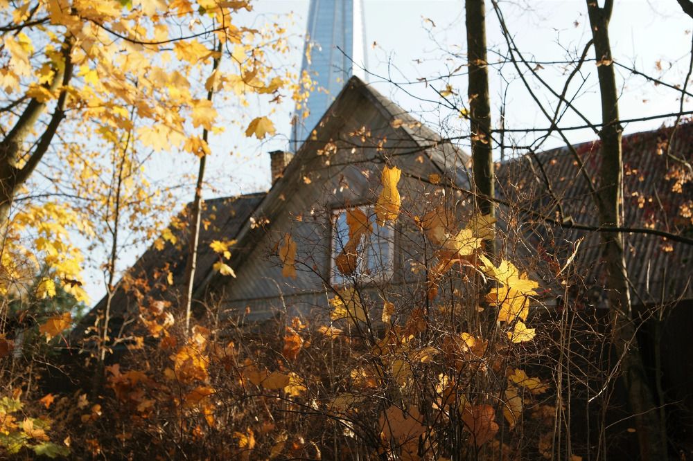 Photograph by Ali Boyko