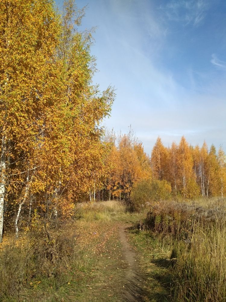 Photograph by Сидорова Ирина