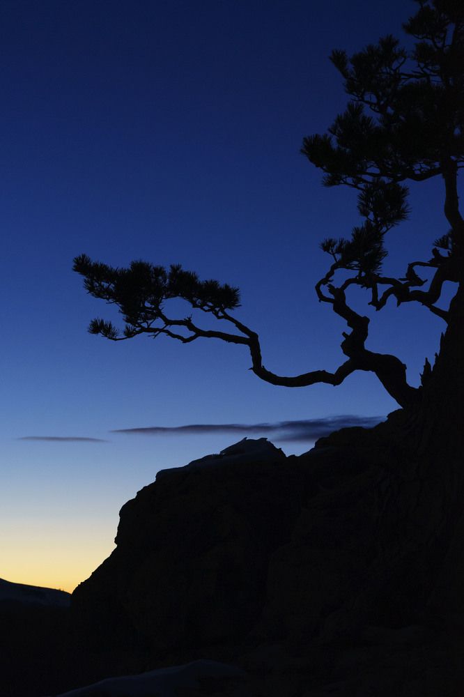 Photograph by Ольга Лещенко