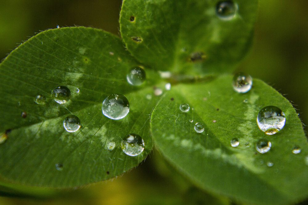 Photograph by Алексей Борисов