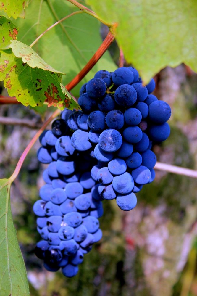 Photograph by Руслан Гордиенко