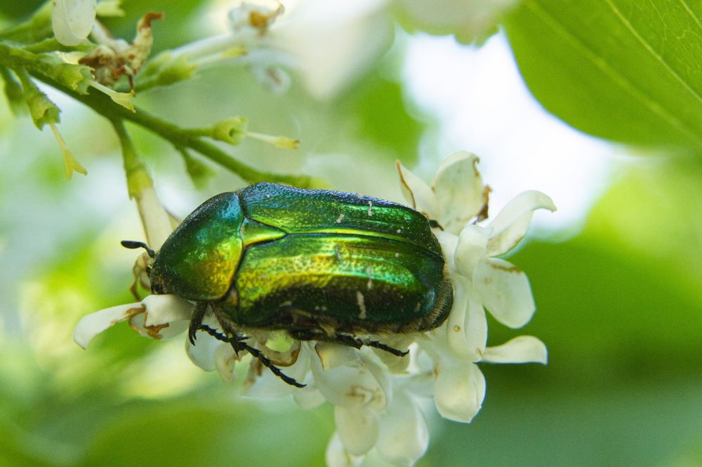 Photograph by Алексей Борисов