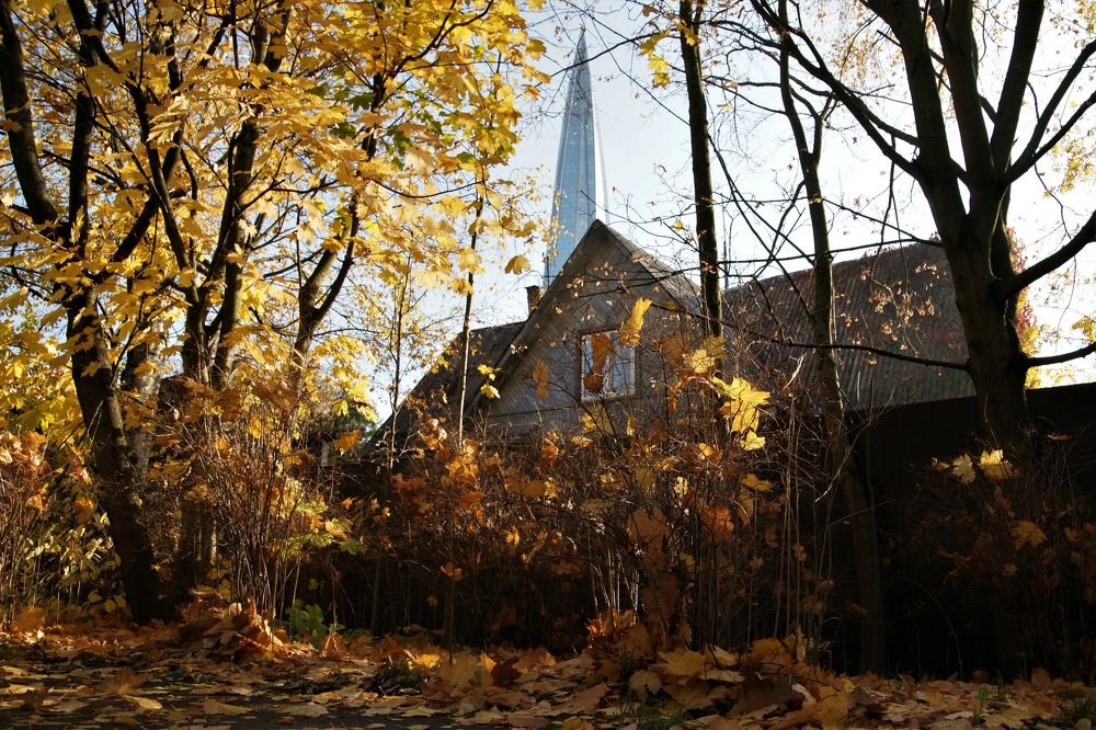 Photograph by Ali Boyko