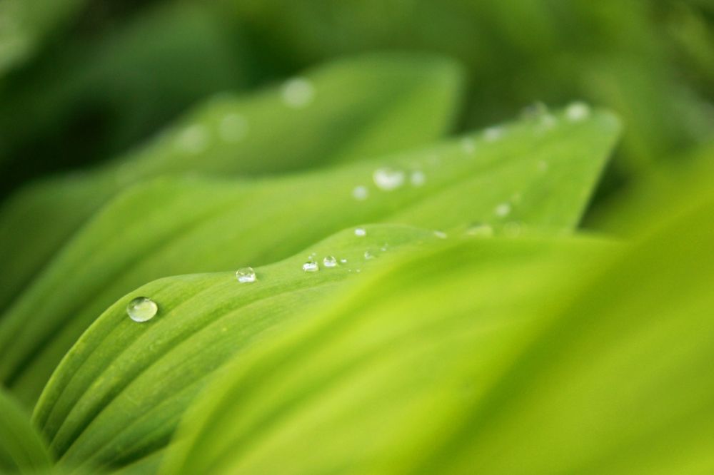 Photograph by Руслан Гордиенко