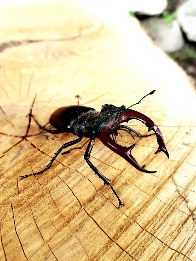 Photograph by Руслан Гордиенко