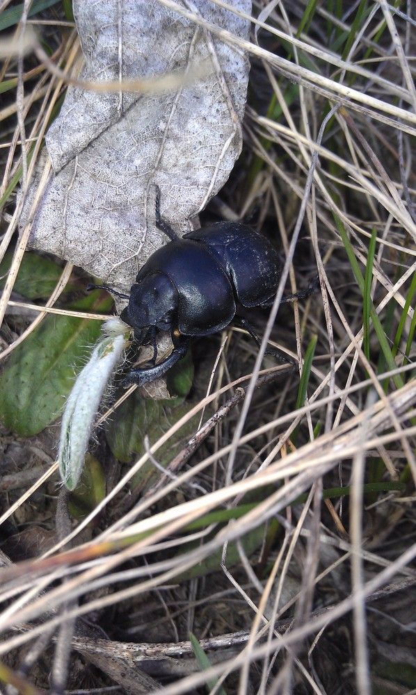 Photograph by Руслан Гордиенко