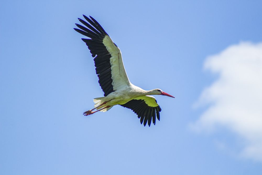 Photograph by Алексей Борисов