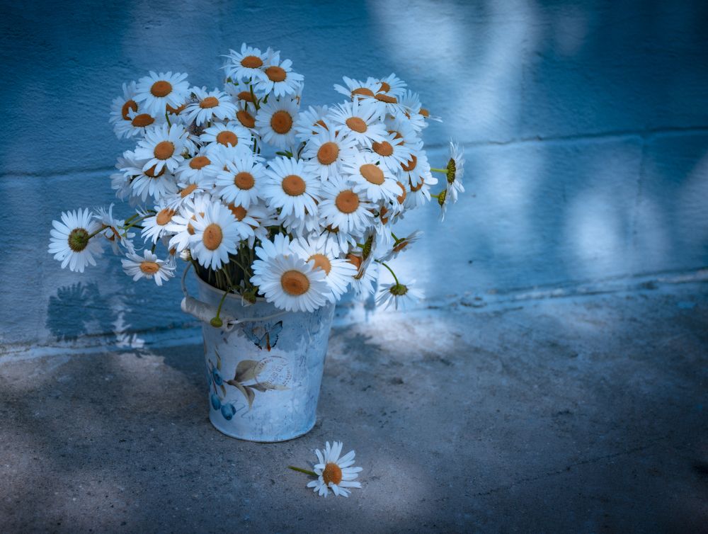 Photograph by Fadeeva Ekaterina