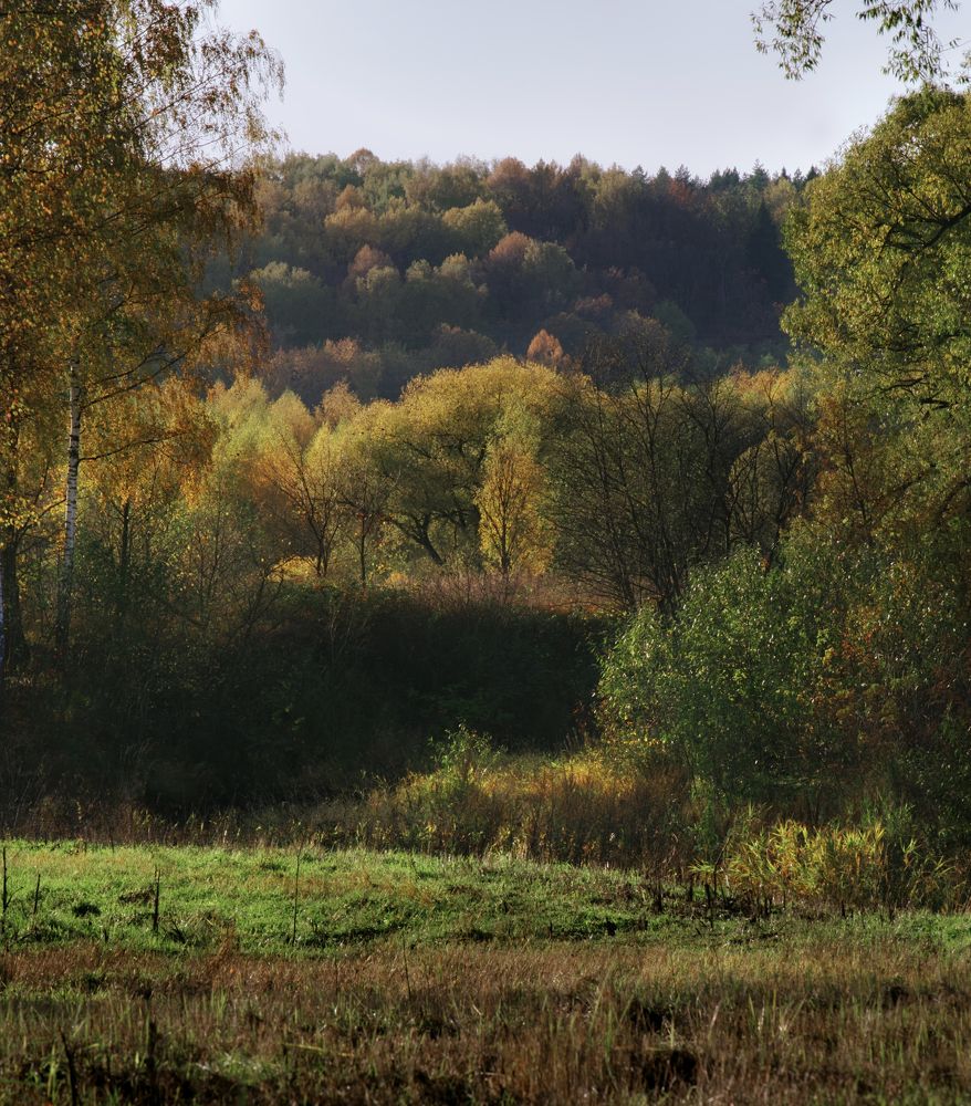 Фотография автора Gleb Kolobaev