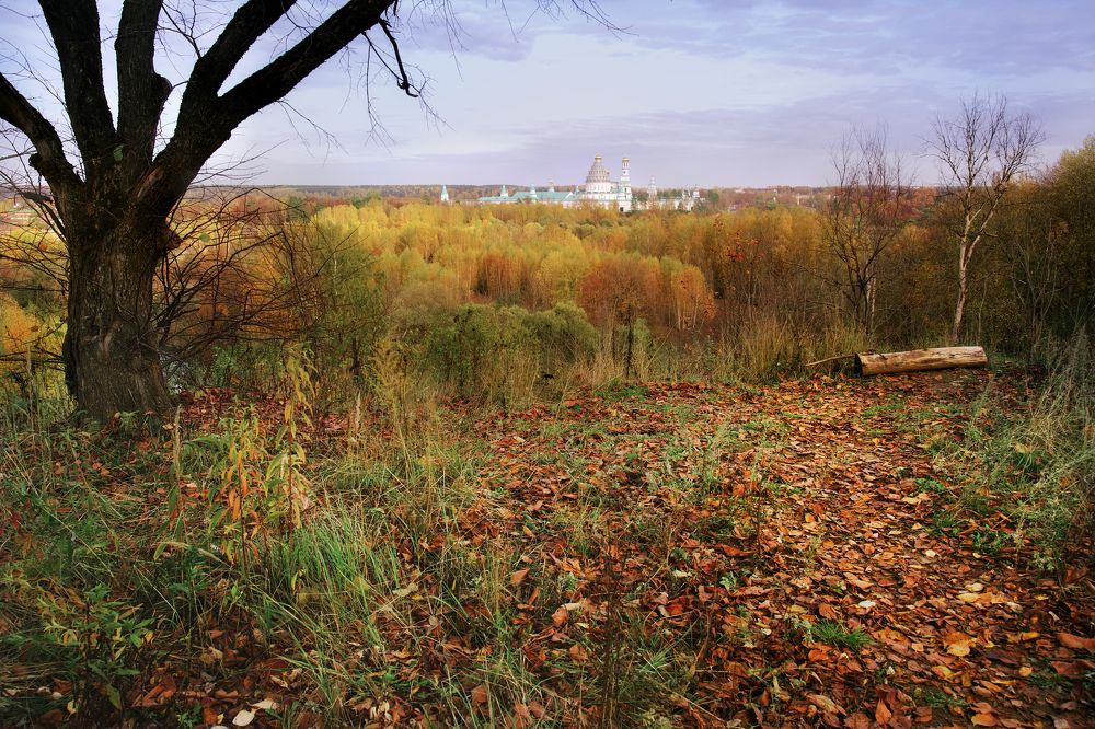 Фотография автора Gleb Kolobaev